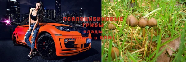 марки lsd Алзамай